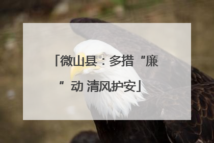 微山县：多措“廉”动 清风护安